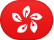 Chinese Hong Kong flag
